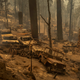 Image for article titled A Look At Some Awesome Classic Cars Destroyed In The California Wildfires